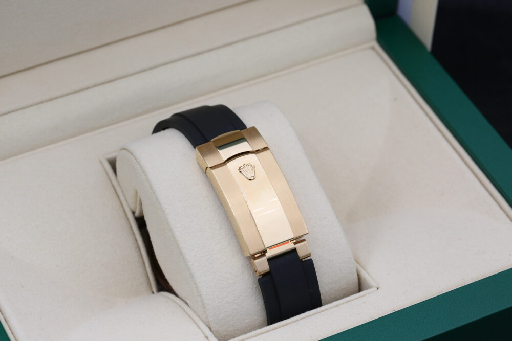 Rolex 326238 Champagne SKY-DWELLER 42mm 2023 - Image 9